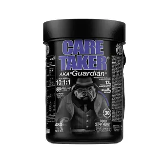 Амінокислота Zoomad Labs Caretaker BCAA, 480 грам - Ягоди